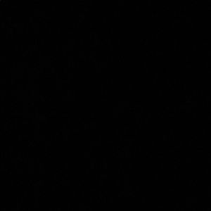 Meet your Posher, Allie